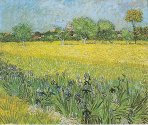 Blick auf Arles mit Iris im Vordergrund